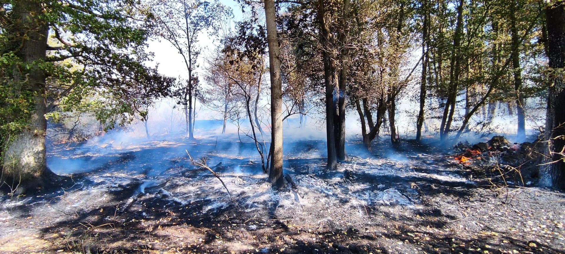 Waldbrand Einsatz